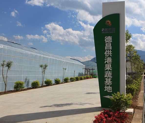供港果蔬基地開(kāi)啟農(nóng)業(yè)升級(jí)之門