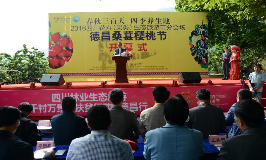 品新公司應邀參加德昌縣桑葚櫻桃節(jié)開幕